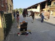 25 settembre 2016. Service Un cavallo per amico presso il maneggio di Bairo.