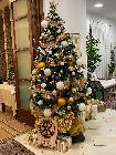 19 dicembre 2024. Serata degli Auguri di Natale.